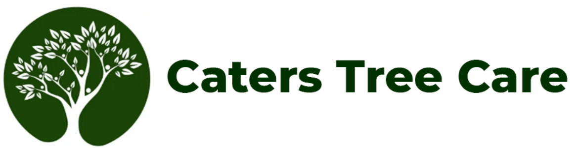 Tree Removal Caters Tree Care